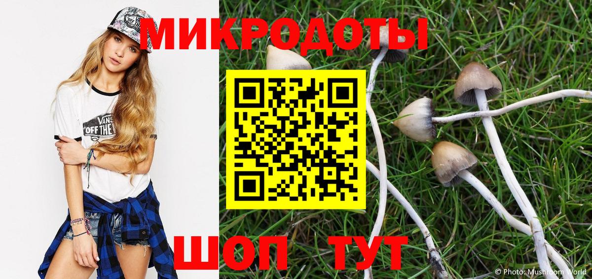 Галлюциногенные грибы мицелий  Вход с VPN  Галлюциногенные грибы Psilocybine cubensis  Касимов 