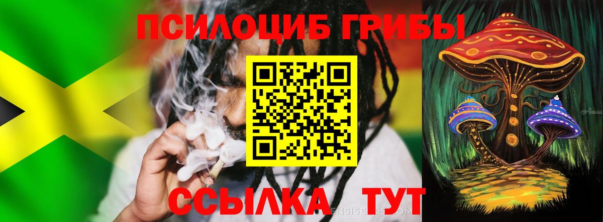 Галлюциногенные грибы прущие грибы Касимов